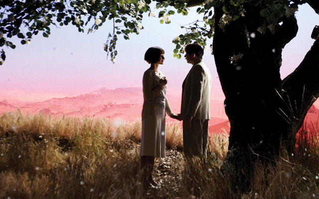 Poulet aux Prunes Poulet aux Prunes