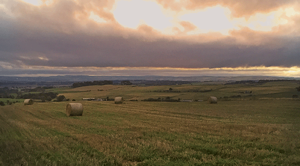 Peelham farm, sustainable farming, scotland, farm-to-table, wind energy