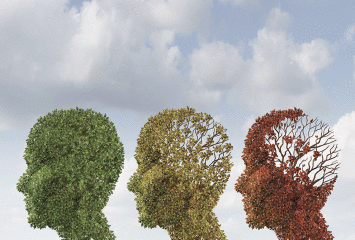 Robyn Ross, how Alzheimer's progresses