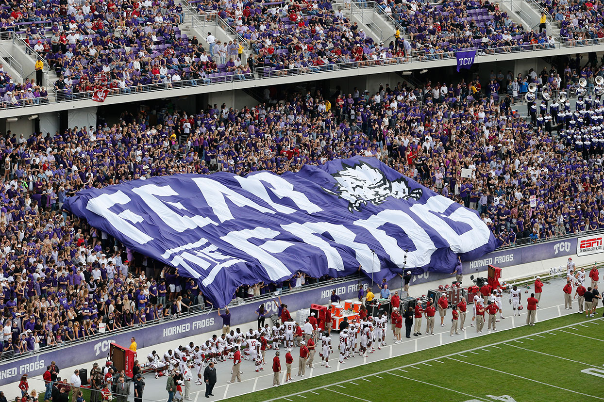 Fear the Frog Banner