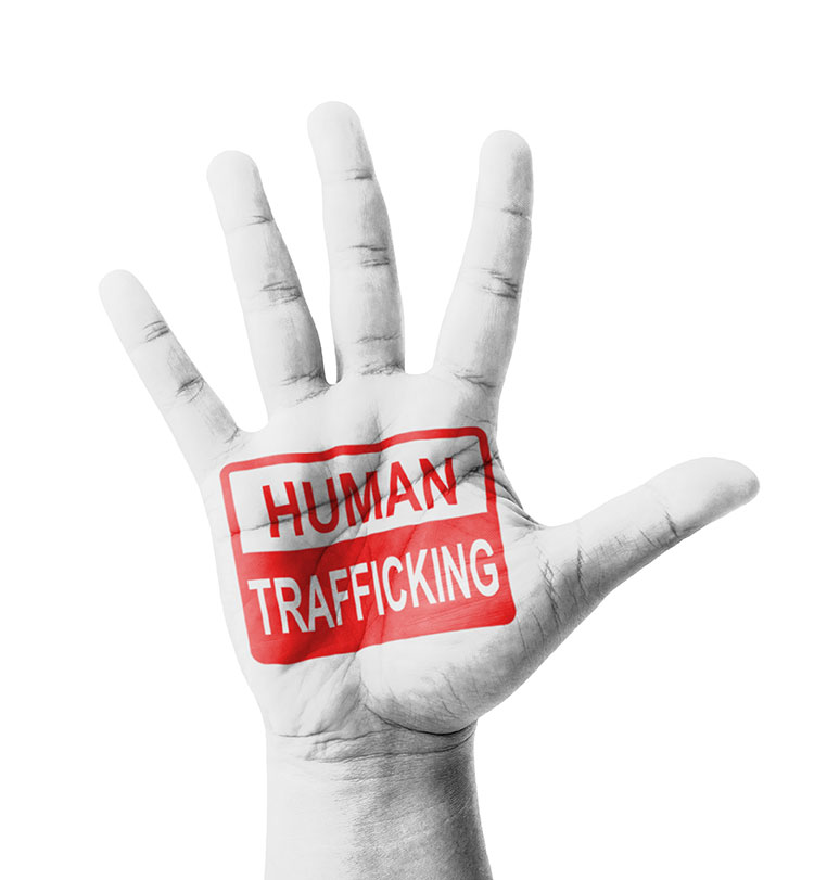 human trafficking facts