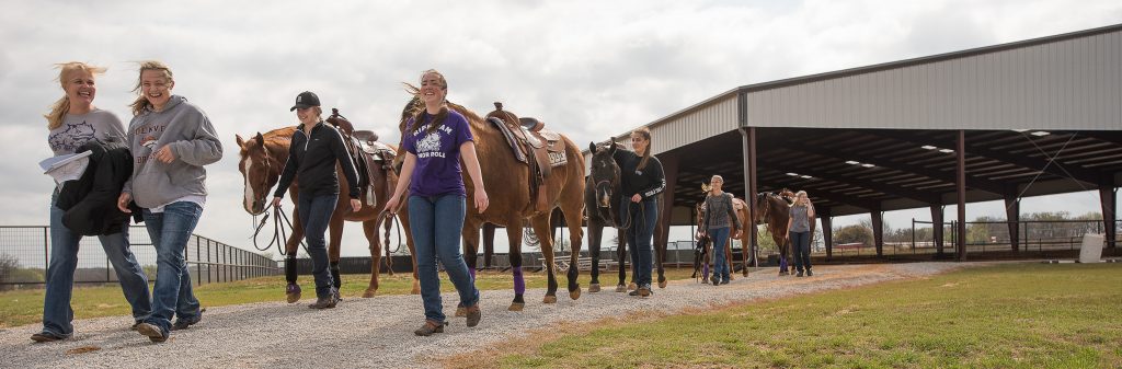 Riders and their horses leave another day of practice at the TCU practice facility in Springtown, Texas. From left are Melissa Dukes ’89, Megan McMullen ’17, Rylee Morgan ’17 with Bob, Josie Mootz with Shy, Jamie Cook with Cupid, Marah Huston with Jackson and Laska Anderson with Jack. Photo by Glen E. Ellman