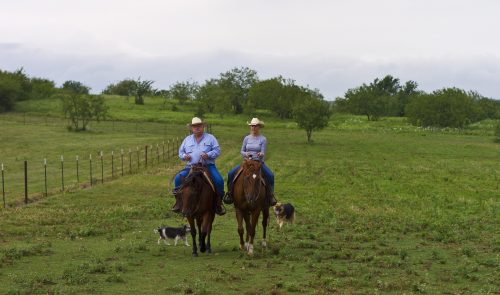 Pete Bonds and his wife Jo ride accompanied by two of the Bonds Ranch dogs.