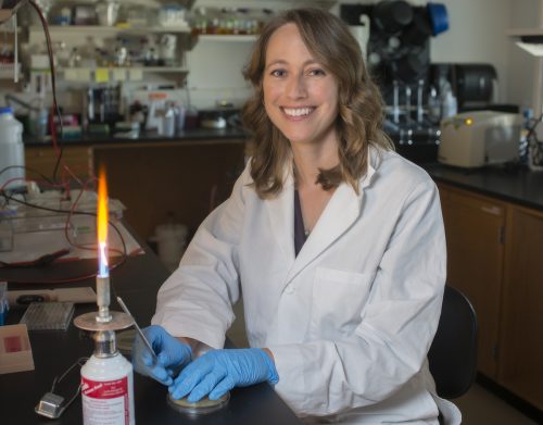 Shauna McGillivray, associate professor of biology, figured out how to render the anthrax harmless in mammals by subverting one of the key proteins anthrax uses to cause disease. Photo by Robert W. Hart