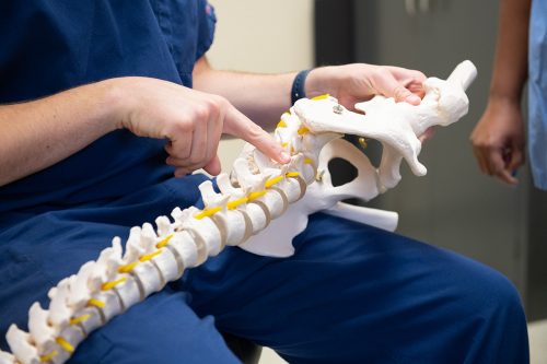 Brian H. Jacobs, a certified registered nurse anesthetist, and pain-management fellow uses a model spine during Ruth Petros' appointment. Photo By Joseph L. Murphy 