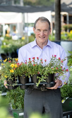 Jim Estill, who is a Texas Master Certified Nursery Professional, admires flowers at the Calloway's Nursery location in South Hulen Street in Fort Worth. Photo by Jeffrey McWhorter