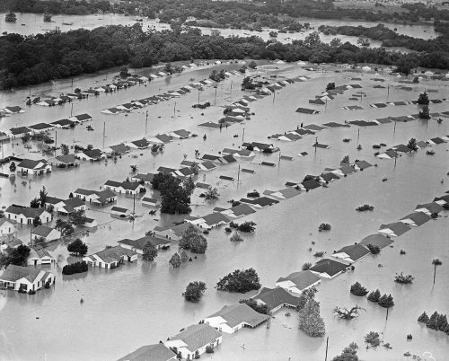 An aerial view of a neighborhood at the north end of Crestwood Drive following the flooding of May 17, 1949. The West Fork of the Trinity River is seen beyond the trees at the top of the photo.Courtesy, Fort Worth Star-Telegram Collection, Special Collections, The University of Texas at Arlington Library, Arlington, Texas