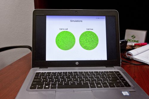 A laptop screen displays visualizations of the results of recent studies in influenza drug resistance conducted by Hana Dobrovolny. Dobrovolny is associate professor of biophysics in TCU's College of Science and Engineering. Photo by Mark Graham, November 11, 2019
