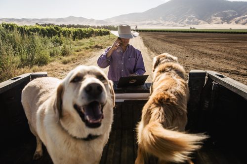 John Moore III conducts business from his tailgate during harvesting at Moore Farms in Arvin, CA. His dogs Cal and Charlie are usually at his side.
