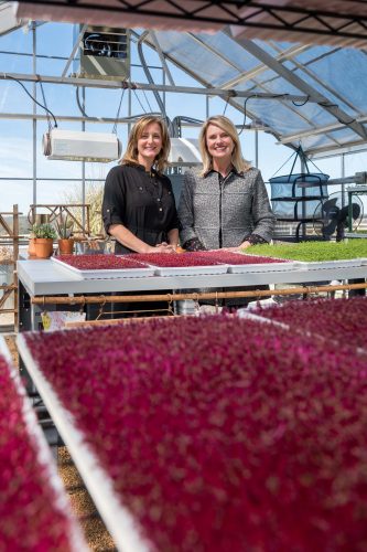 Shannon McLinden, left, and Delia Faulk McLinden hold trays of microgreens grown at FarmHouse Fresh in McKinney, Texas. Photo by Leo Wesson