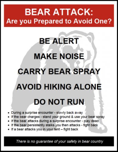 Text graphic: Bear Attack: Are you prepared to avoid one? Be alert Make noise Carry bear spray Avoid hiking alone Do not run