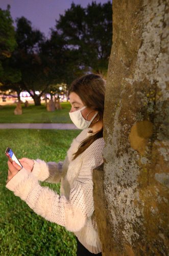 A female student leans against a rock as she looks at her phone.