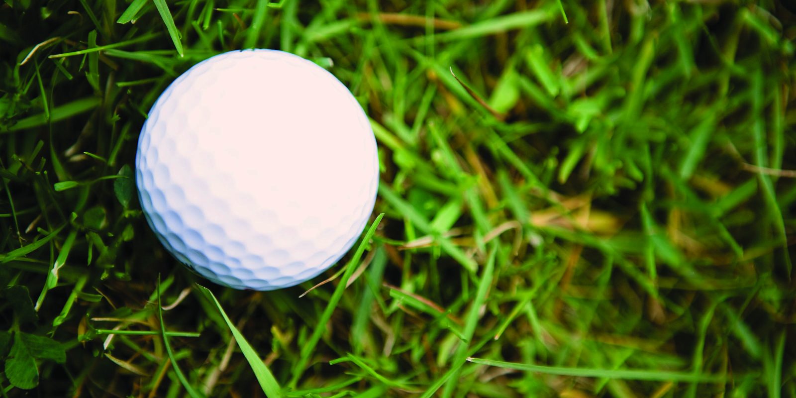 A golf ball laying in grass