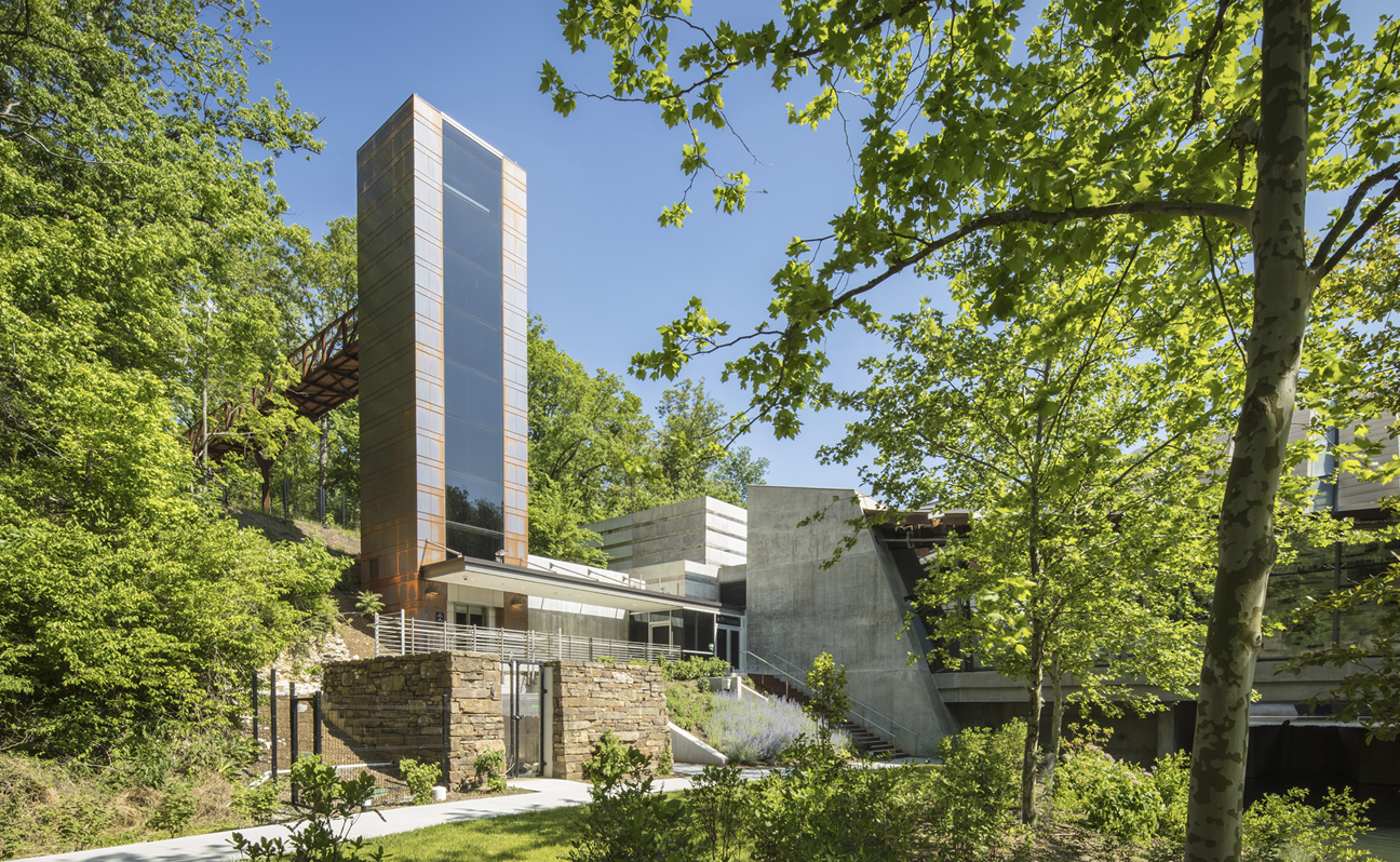 Daytime photograph of the Crystal Bridges Museum of American Art in Bentonville, Arkansas, surrounded by trees.