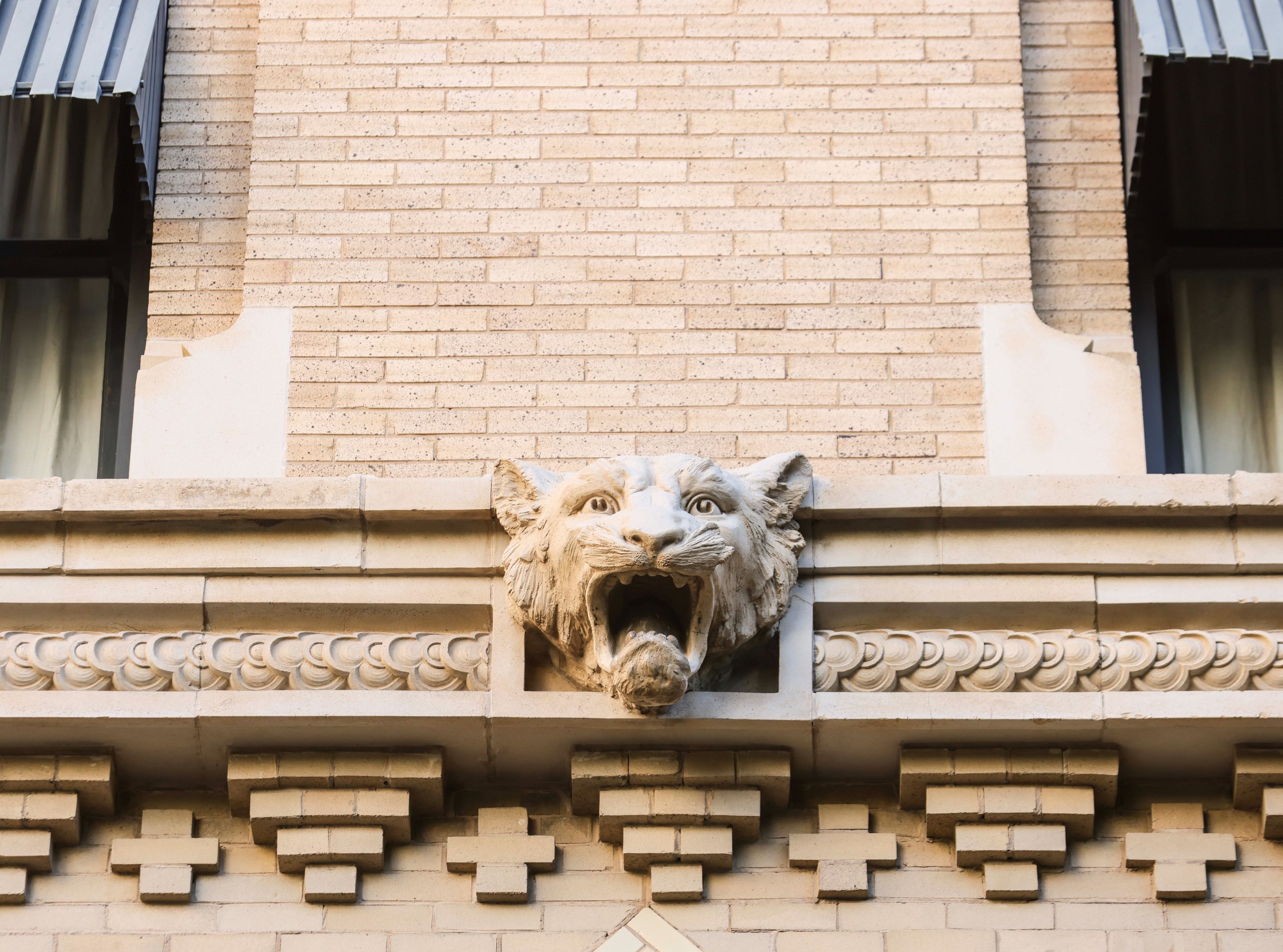 Architectural detail of a sculptural panther head with open mouth mounted on a cream-colored brick building facade, with decorative terra cotta geometric patterns below.