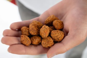 Beckett Kitaen holds Buffs, a grass-fed beef puff snack, during a studio portrait shoot, Feb. 12, 2026.