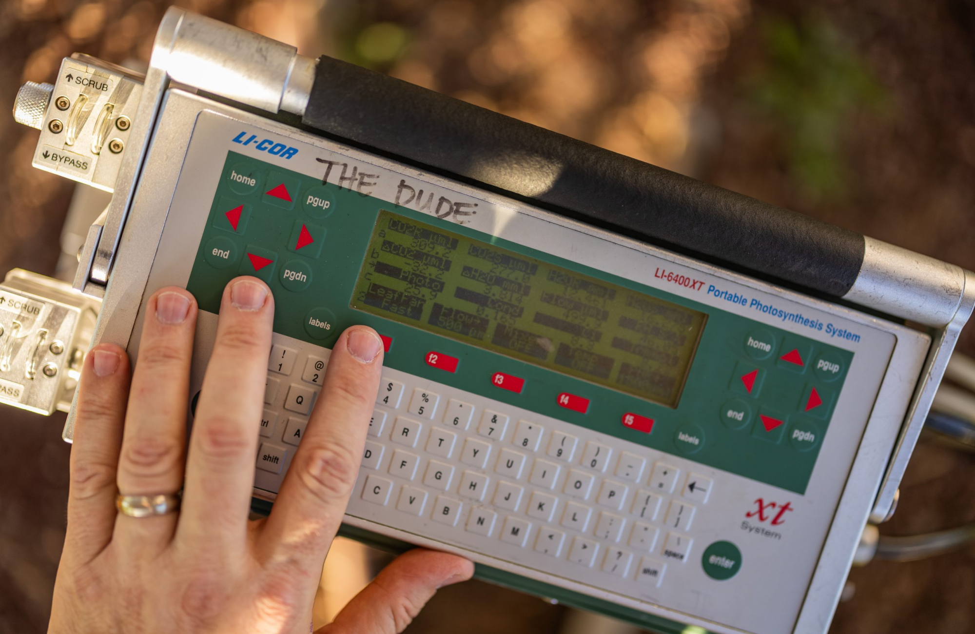 A LI-COR LI-6400XT portable photosynthesis system, labeled "The Dude" in marker, rests in a garden bed among plant stems and irrigation tubing.