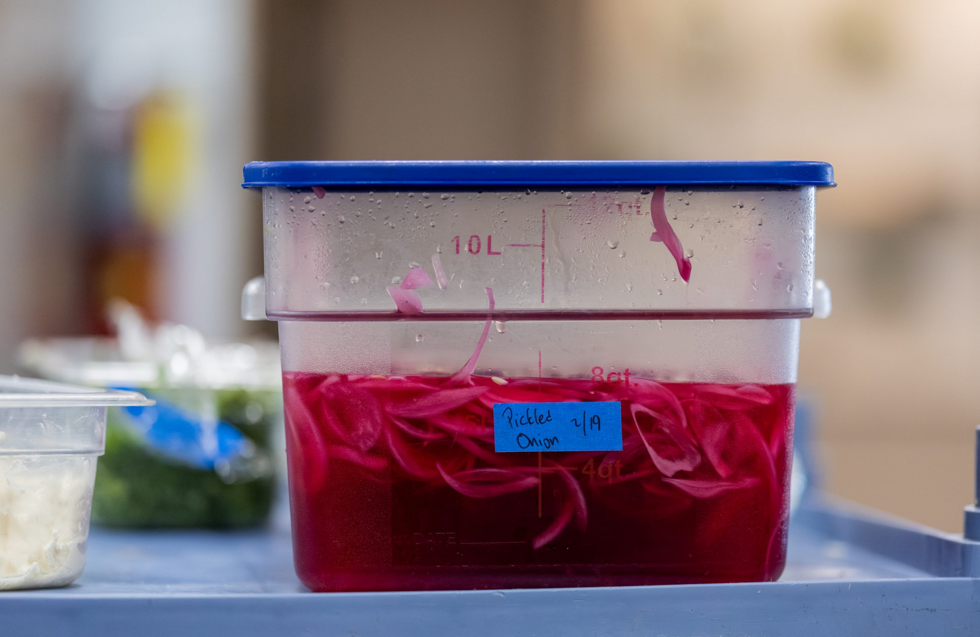  A large clear food storage container half-filled with bright pink pickled onions in brine, labeled “Pickled Onion 2/19,” sitting on a prep table.