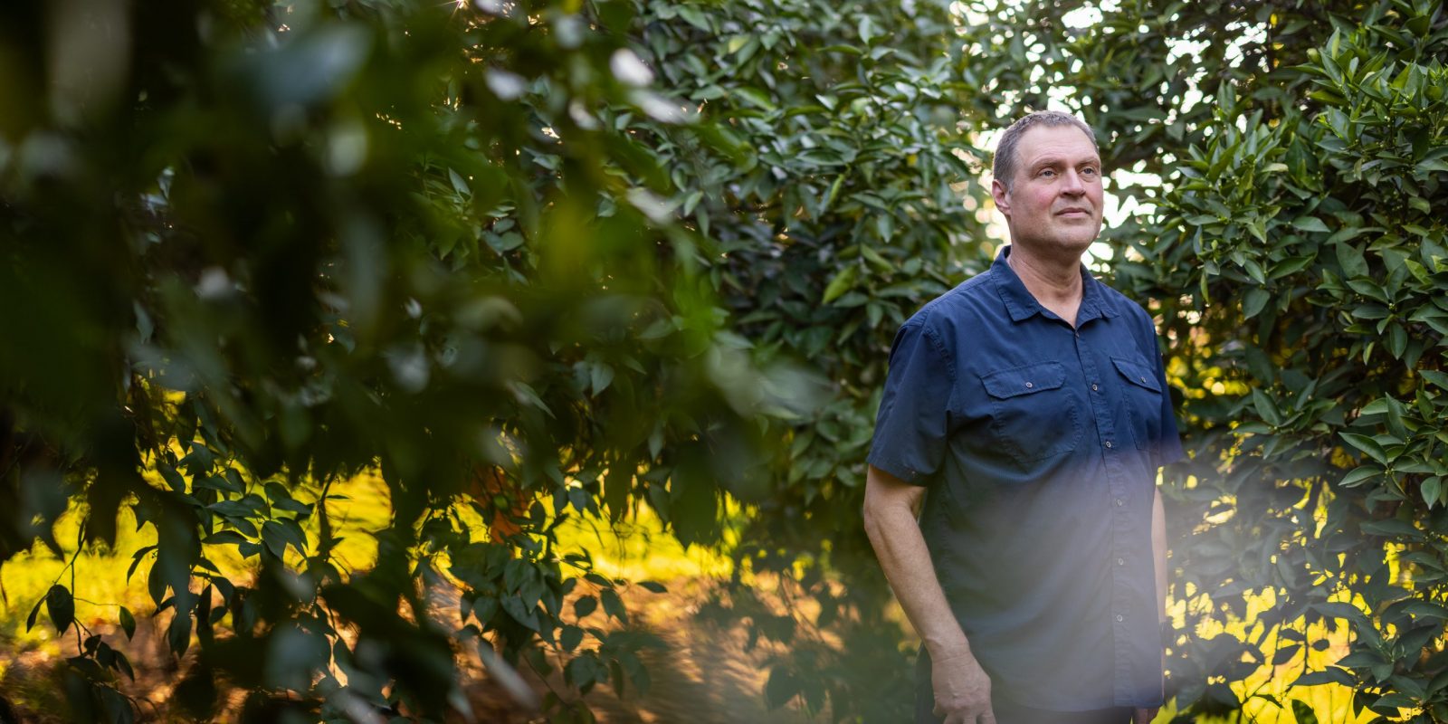 Jason Wyrick stands among rows of citrus trees in an orchard, wearing a navy short-sleeve button-up shirt, with golden late-day sunlight filtering through the leaves behind him.