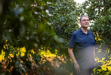 Jason Wyrick stands among rows of citrus trees in an orchard, wearing a navy short-sleeve button-up shirt, with golden late-day sunlight filtering through the leaves behind him.
