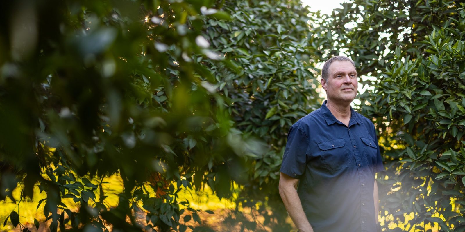 Jason Wyrick stands among rows of citrus trees in an orchard, wearing a navy short-sleeve button-up shirt, with golden late-day sunlight filtering through the leaves behind him.