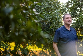 Jason Wyrick stands among rows of citrus trees in an orchard, wearing a navy short-sleeve button-up shirt, with golden late-day sunlight filtering through the leaves behind him.