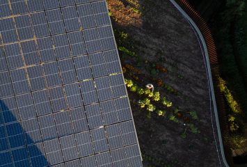 Aerial view of a solar panel array on the left meeting rows of garden crops on the right, with a person tending plants in the cultivated soil between the panels and a wooden fence.