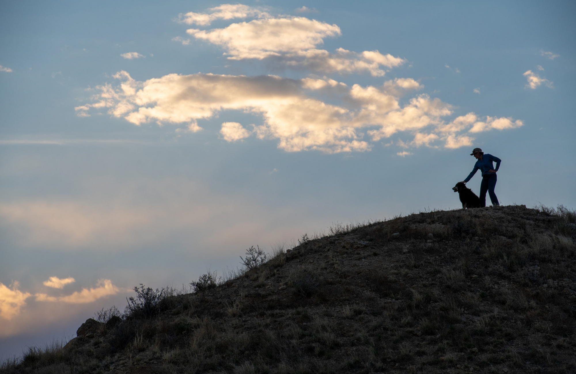 A woman in a ball cap stands silhouetted atop a grassy hillside with her hand resting on a dog beside her, against a wide sky of soft clouds lit by the setting sun.