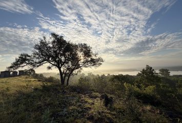 A stone structure with open archways stands on a grassy bluff beside a large tree, with mist over treetops and a lake in the distance.