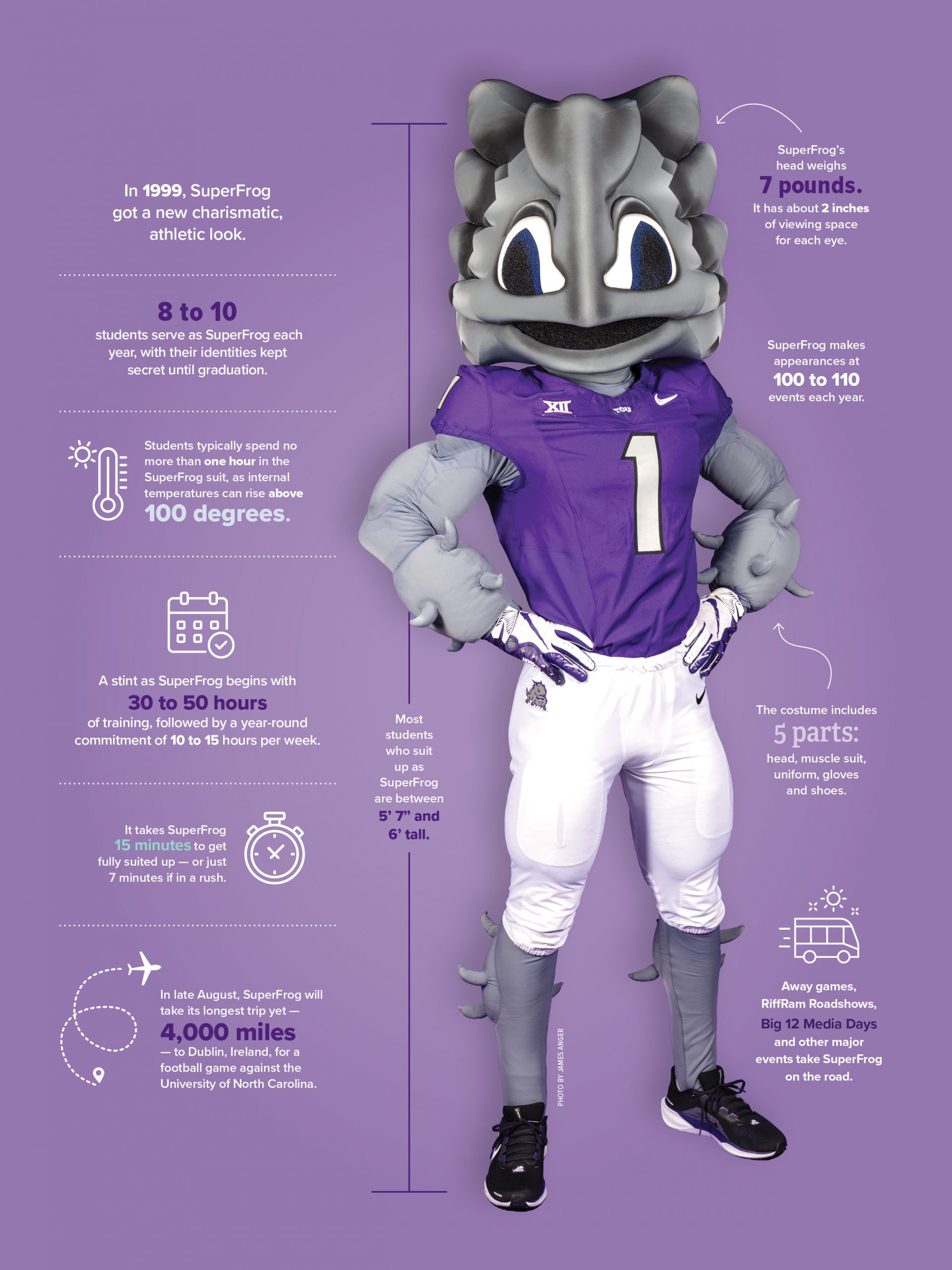 Infographic showing TCU mascot SuperFrog standing in a purple football jersey, wearing the number 1. Facts around the figure state that the head weighs 7 pounds with about 2 inches of viewing space per eye, that SuperFrog got a new charismatic, athletic look in 1999, that 8 to 10 students serve each year with identities kept secret until graduation, that a stint begins with 30 to 50 hours of training followed by a year-round commitment of 10 to 15 hours per week, that students typically spend no more than an hour in the suit as temperatures can rise above 100 degrees, that suiting up takes 15 minutes or 7 in a rush, that the costume has five parts, that SuperFrog makes 100 to 110 appearances a year, that away games and other major events take SuperFrog on the road, that most students who suit up are between 5 feet 7 and 6 feet tall, and that SuperFrog traveled 4,000 miles to Dublin, Ireland, for a football game against the University of North Carolina.